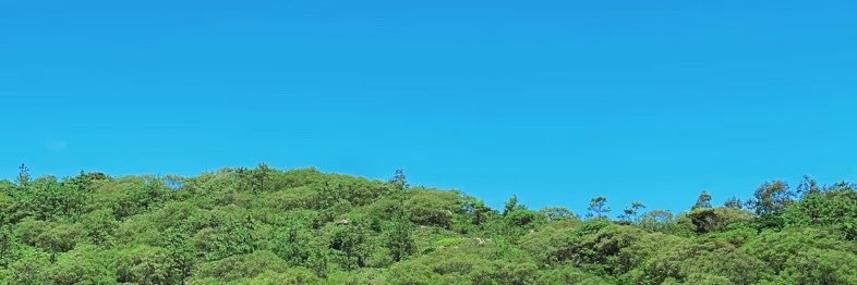 Hong33435's profile banner image