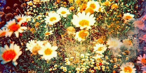 3milyhoffmeyer's profile banner image
