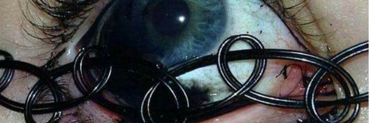 dollarnineteen's profile banner image