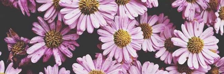 agos_rubio's profile banner image