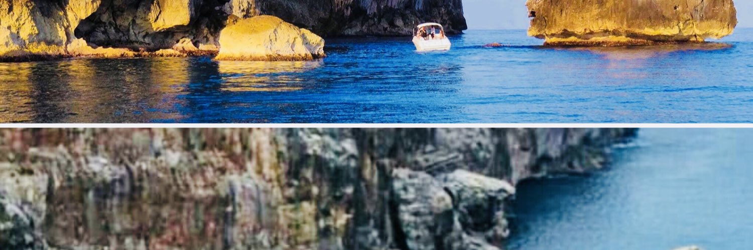 A. Joel Walton banner