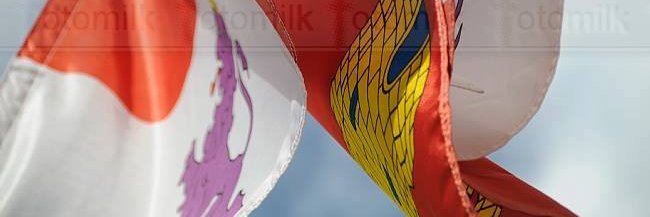 Mila Matesanz/❤ banner