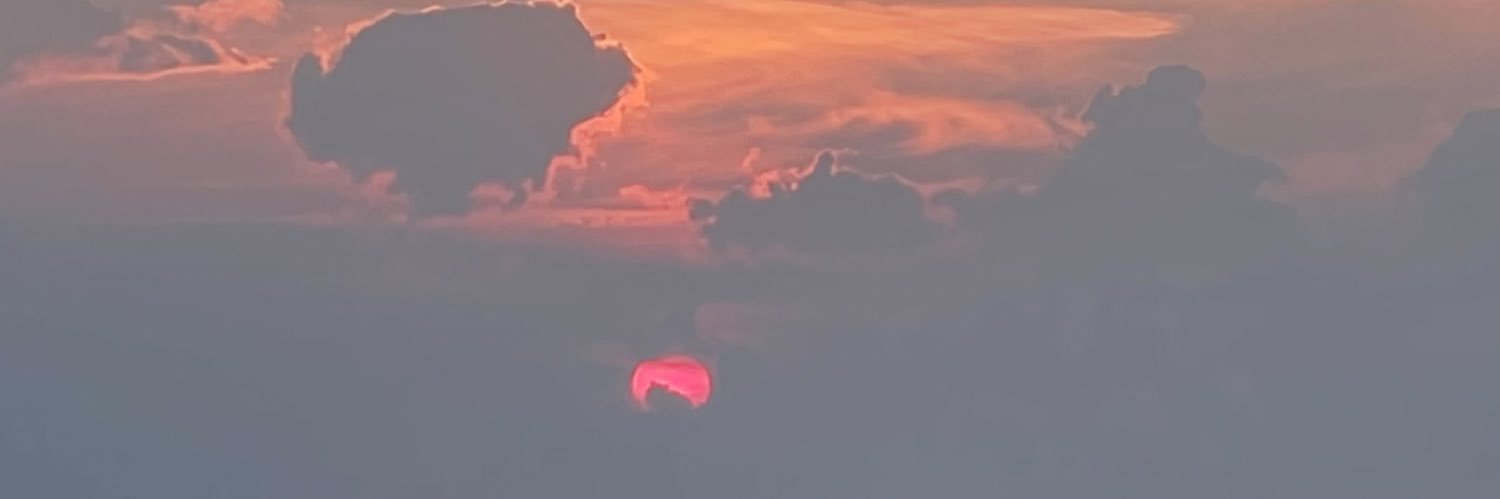dalmok's profile banner image