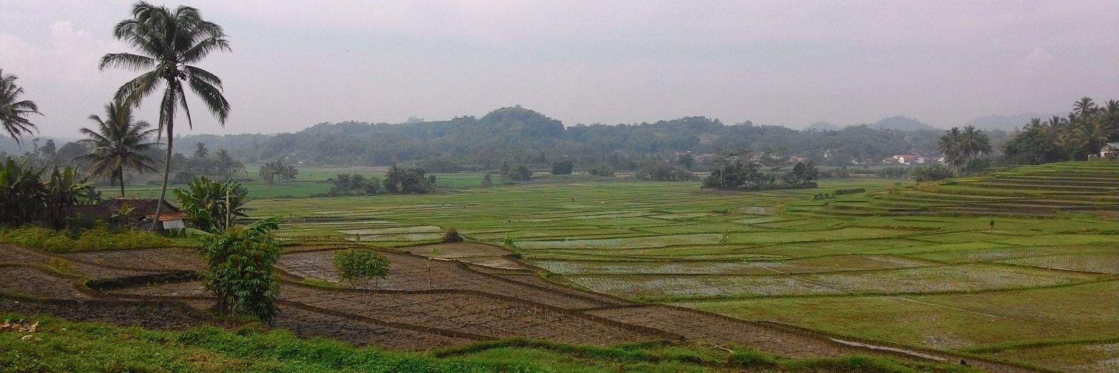 AngganaSantanu's profile banner image