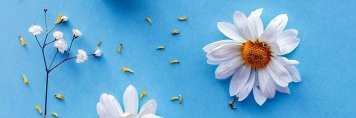 anggrainiii13's profile banner image