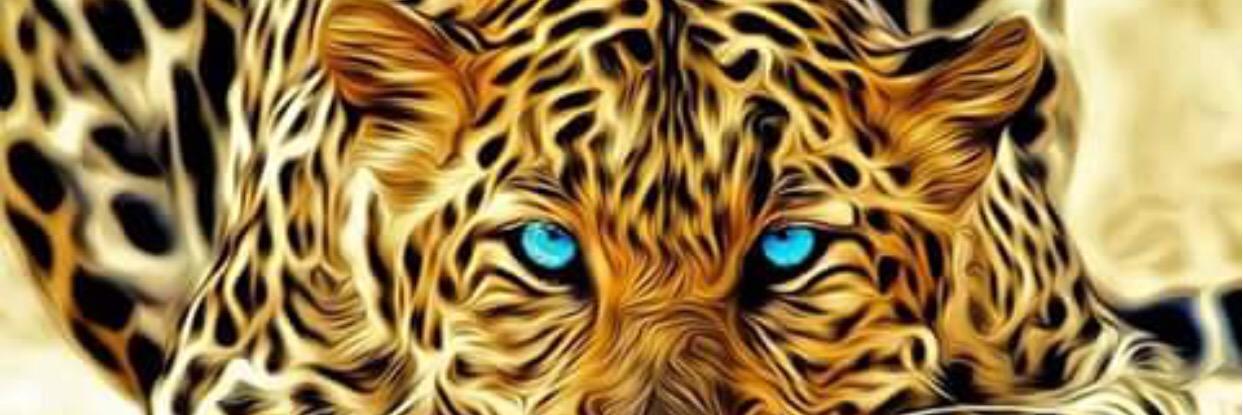 _Bandz_'s profile banner image