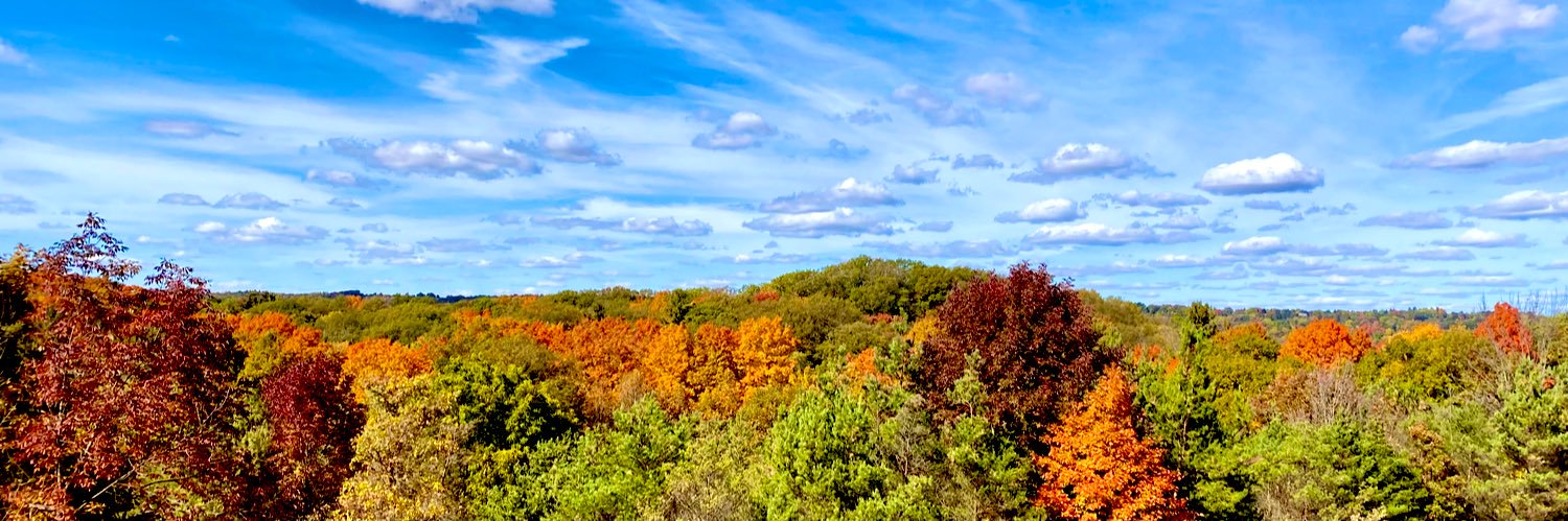 sarahchedden's profile banner image