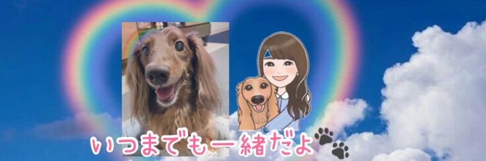 RamHyoi's profile banner image