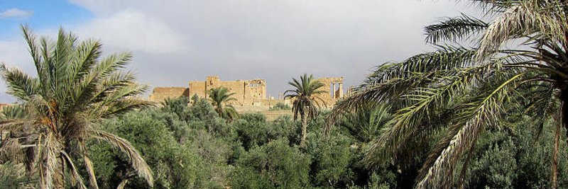BraSyrian banner