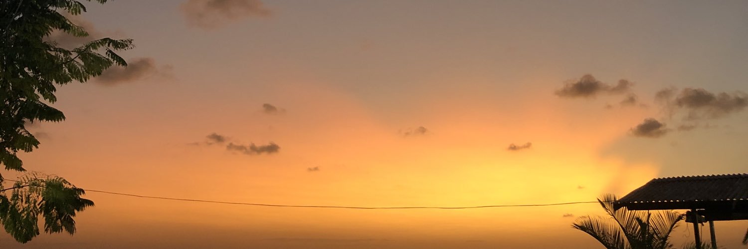 bicarosa's profile banner image