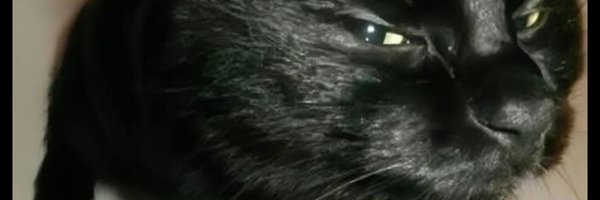 HisssyPissy Profile Banner