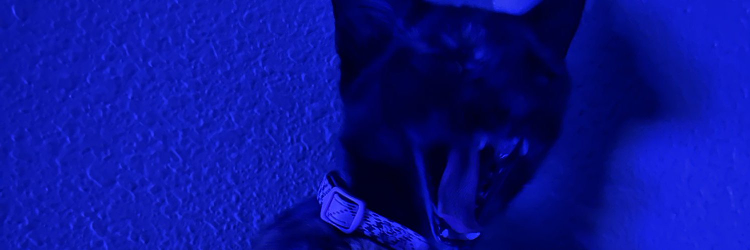 AngueraGili's profile banner image