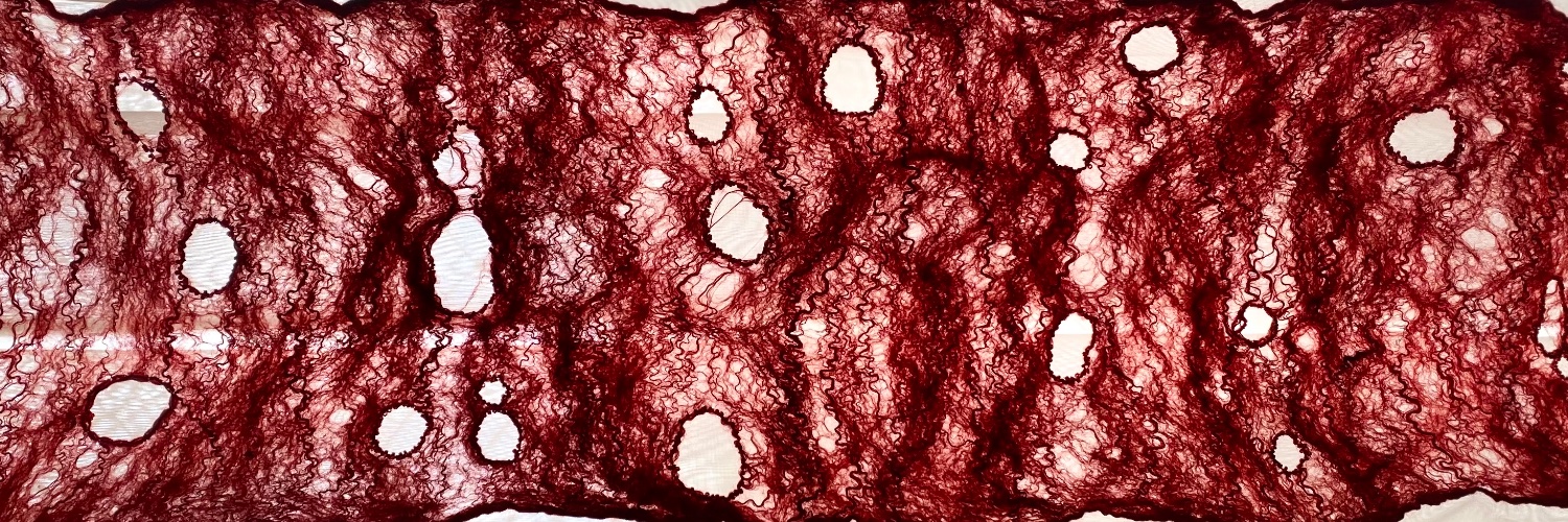 sofiamentz's profile banner image