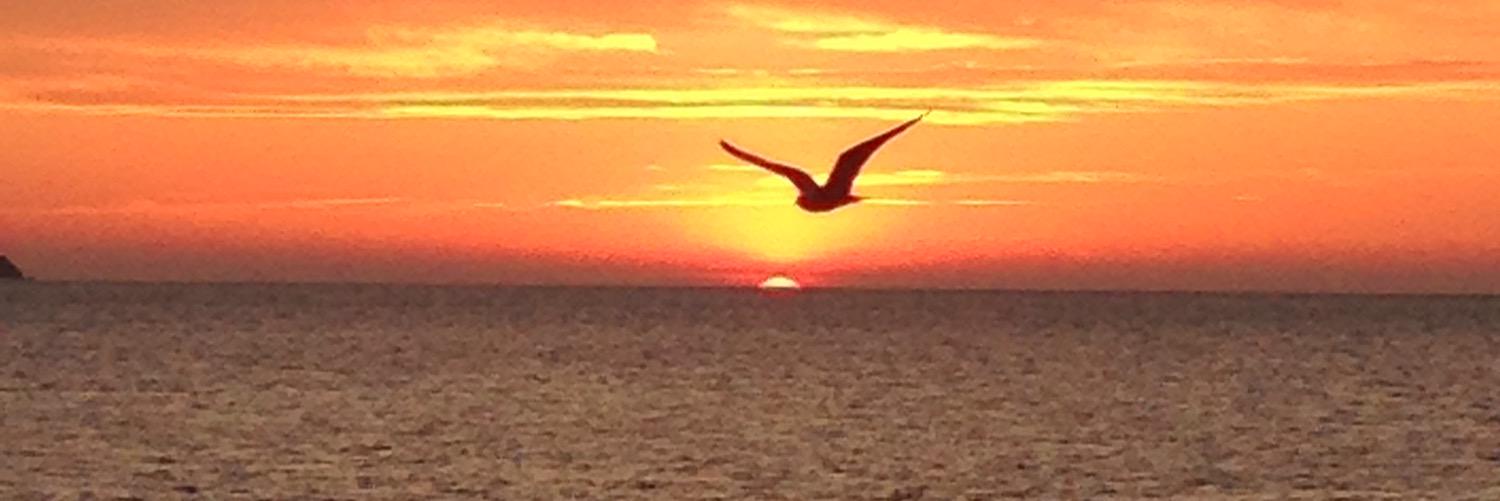Kimforster83's profile banner image
