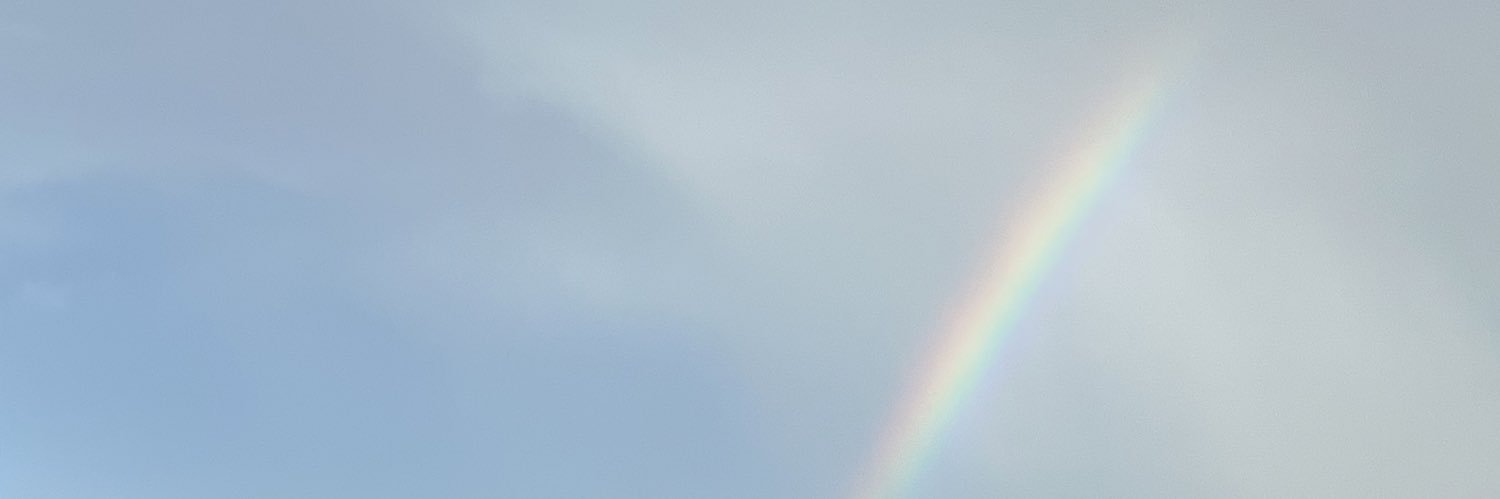 barbarapinelo's profile banner image