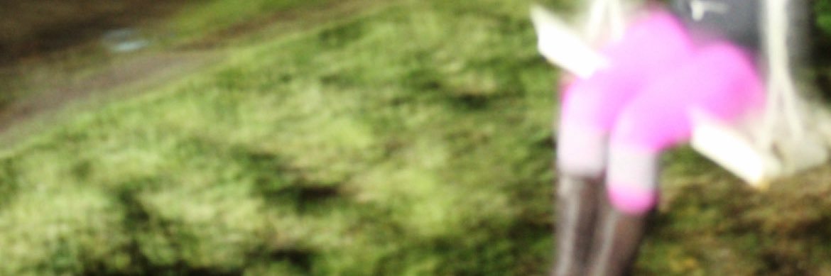 theytinkerbell's profile banner image