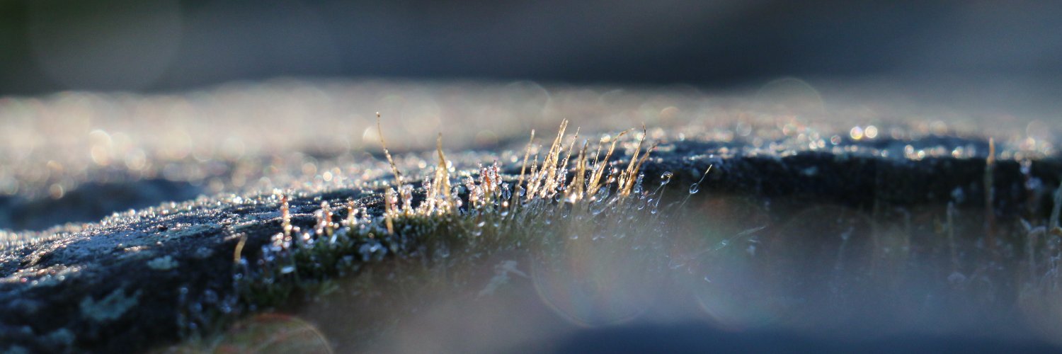 hawranek's profile banner image