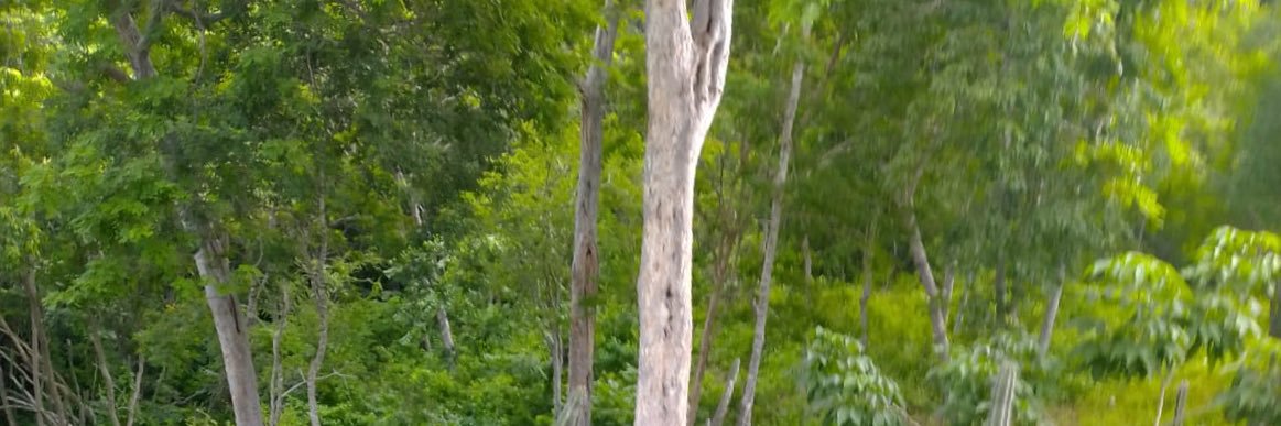 cbeels73's profile banner image