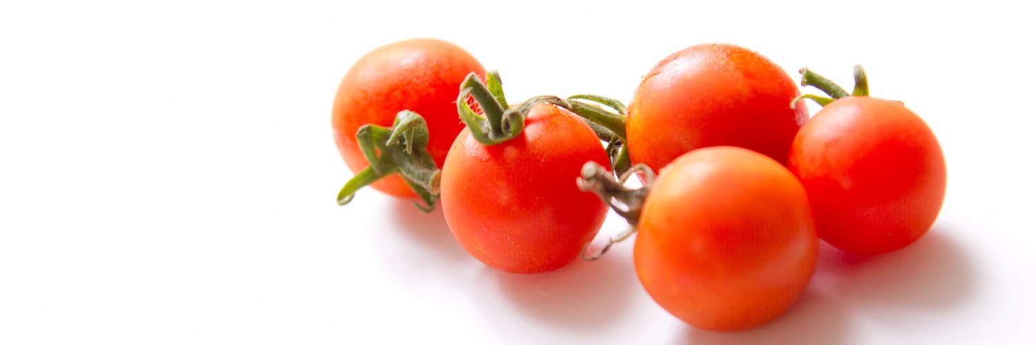 リサール酵産 | カルスNC-R banner