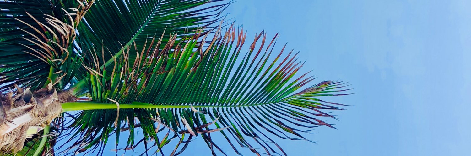 HaleyADoran's profile banner image
