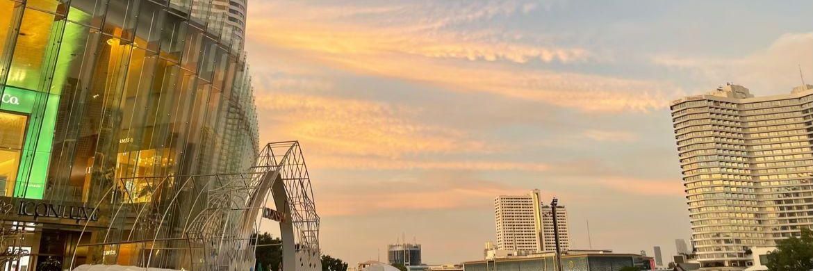 🐥 banner
