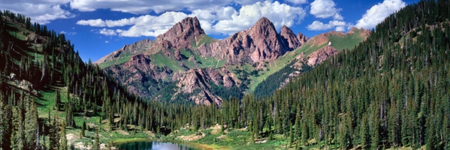 Tim Gallagher banner