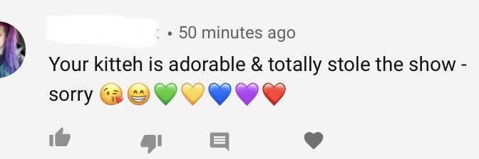 Madison Harnish banner