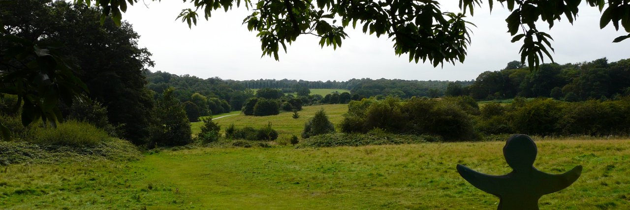 Walk the Loop banner