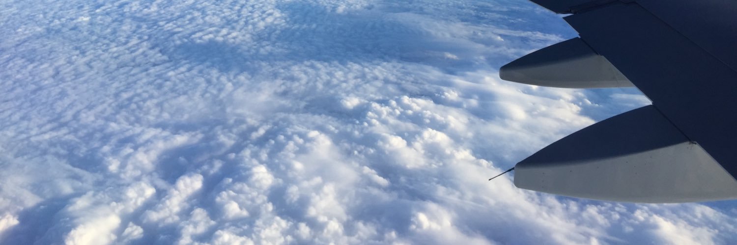 mirror_mint's profile banner image