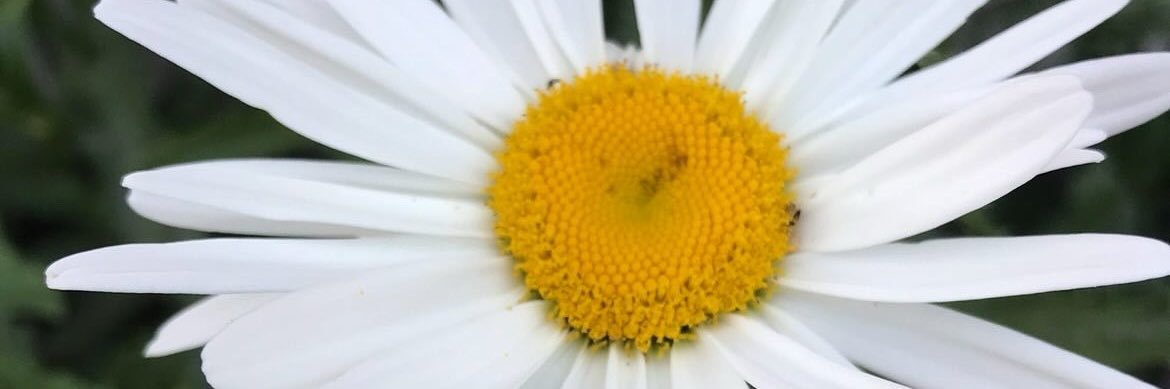buse1505's profile banner image