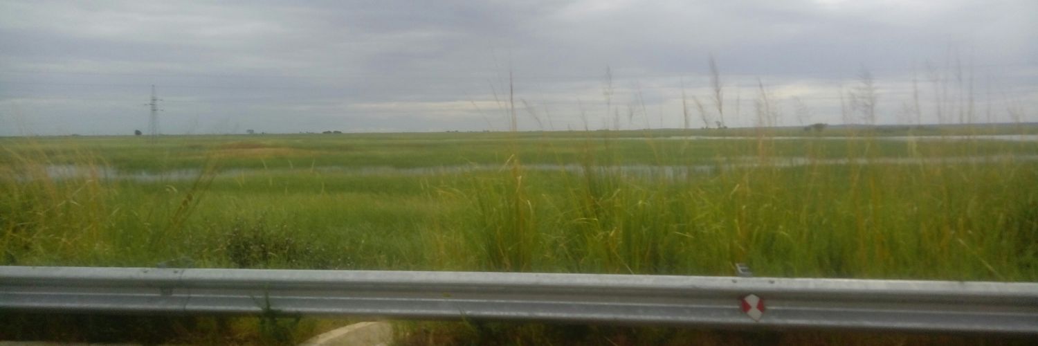 mboisi's profile banner image