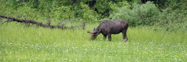 wendt5280 Profile Banner