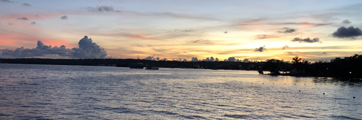 svalderramam15's profile banner image