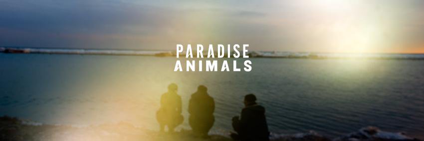 paradiseanimals's profile banner image