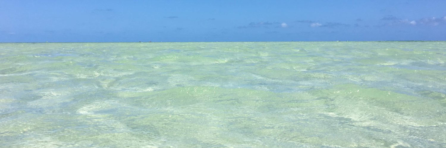 liekmann's profile banner image