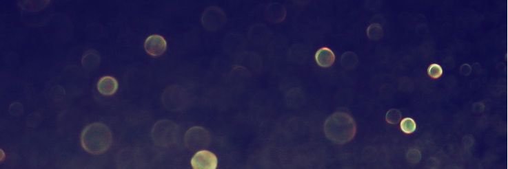 _amazingbethany's profile banner image