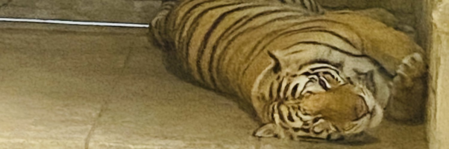 LopezUlisess05's profile banner image