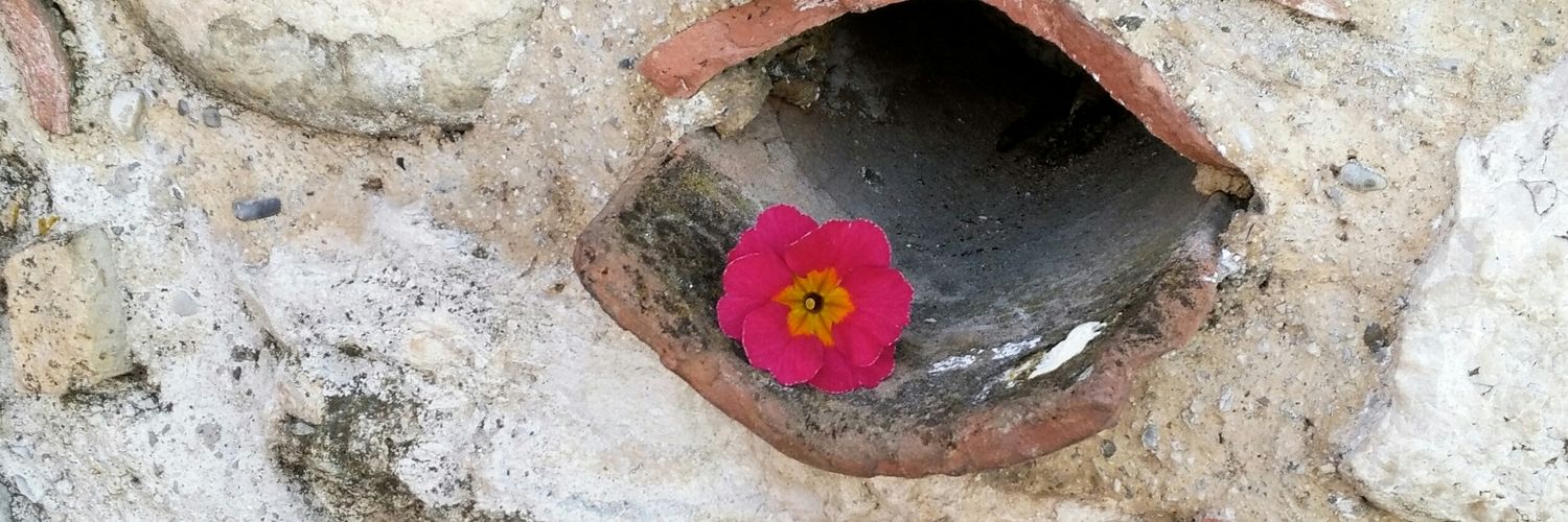 primalavassi's profile banner image