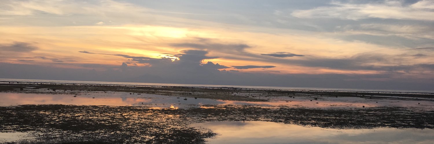 Marco Fortunato banner