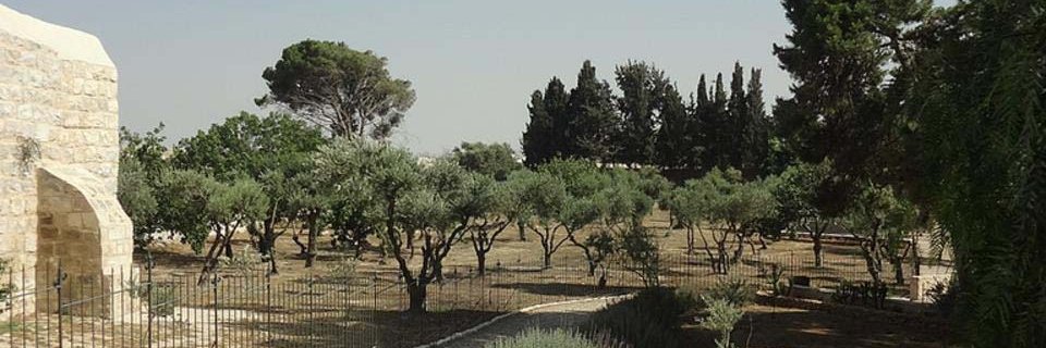 Juanchoponcede's profile banner image