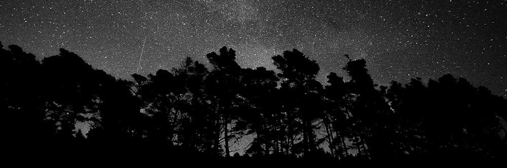 mehmeet08's profile banner image