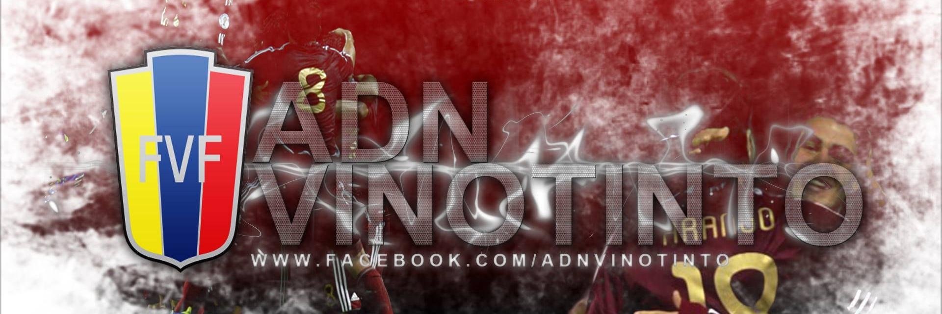 ADN Vinotinto  banner
