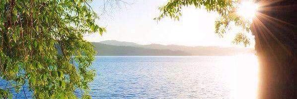 kdmalo's profile banner image