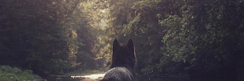 tomhartnettt's profile banner image