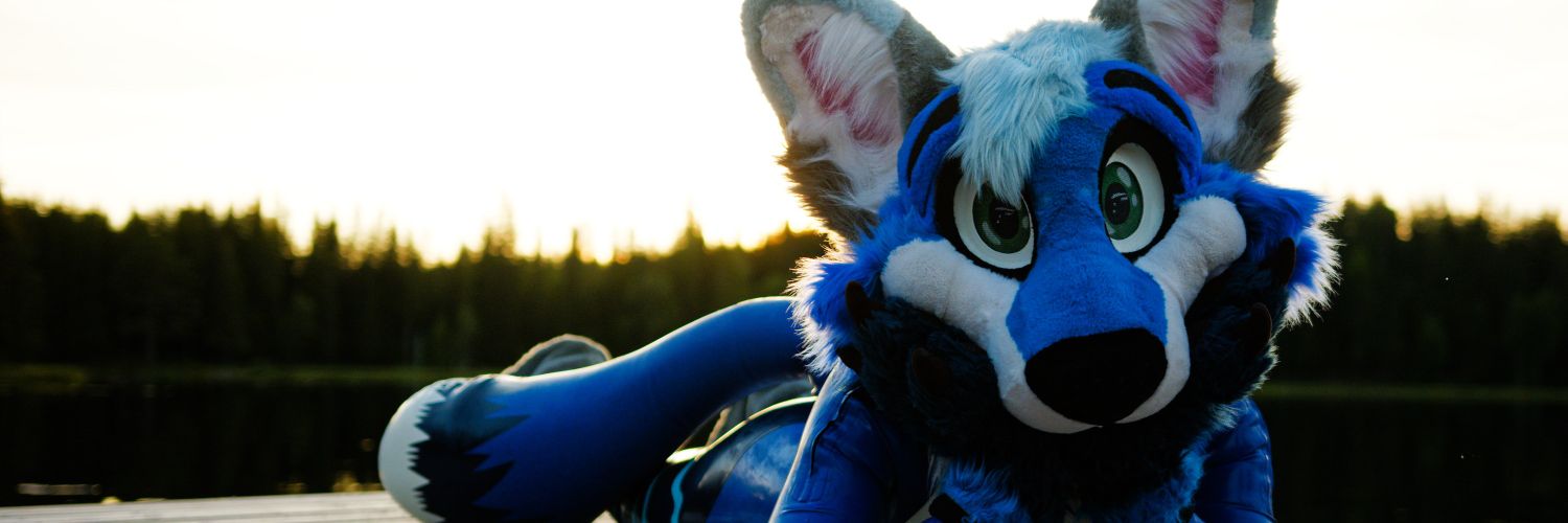 LaexiFoxAD's profile banner image