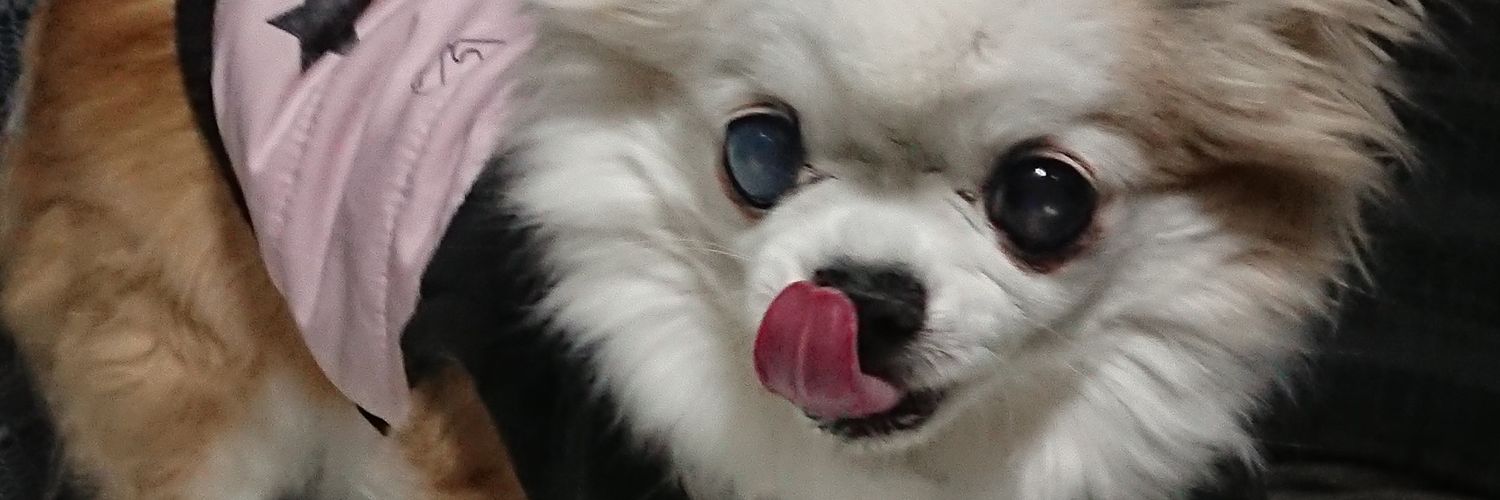 hitocchi69's profile banner image