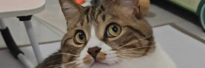 norman91112's profile banner image