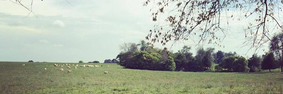 KYPress's profile banner image