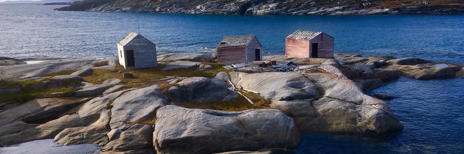 (((Jill Wilson))) banner