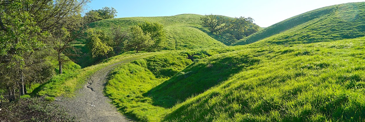 East Bay Regional Park District's banner
